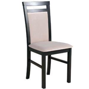 Čalouněná židle DK25 černá s světlou látkou 26B