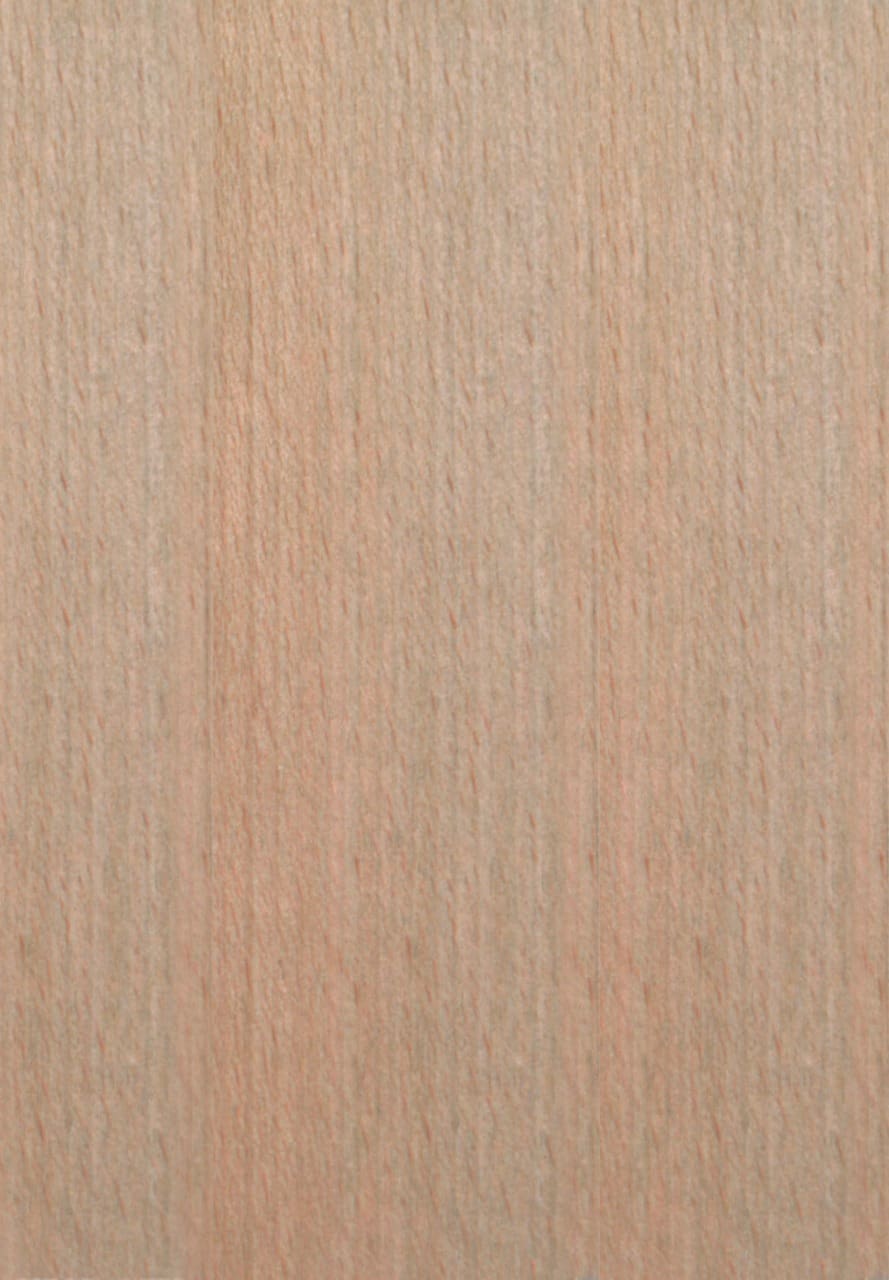 Jídelní židle DK10 dub grandson - Obrázek 3