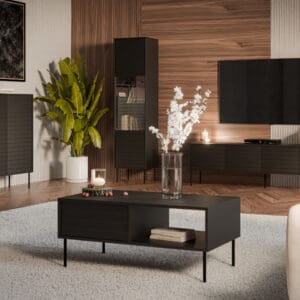 Nábytek do obývacího pokoje AKAGI 1 černá