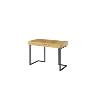 Psací stůl 110 2s samostatně stojící hikora naturalna/raw steel TEEN FLEX TF06+TF15