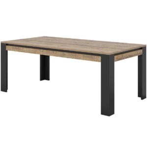 Stůl 100x195 TRUDO 94 dub samdal / černý